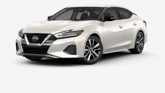 2023 Maxima SV Xtronic CVT® in Pearl White TriCoat